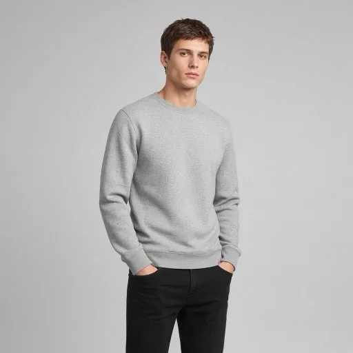 Gray sweatshirt